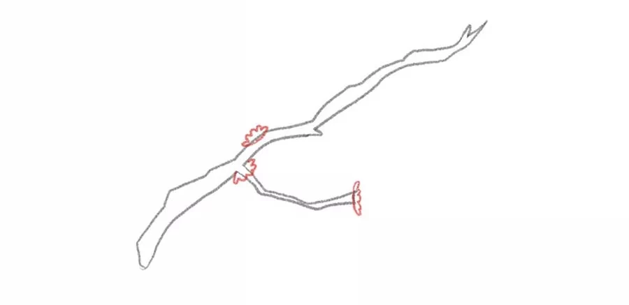 نقاشی شکوفه گیلاس ساده نقاشی شکوفه گیلاس ساده