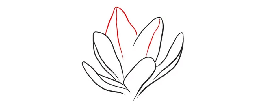 نقاشی گل نقاشی گل