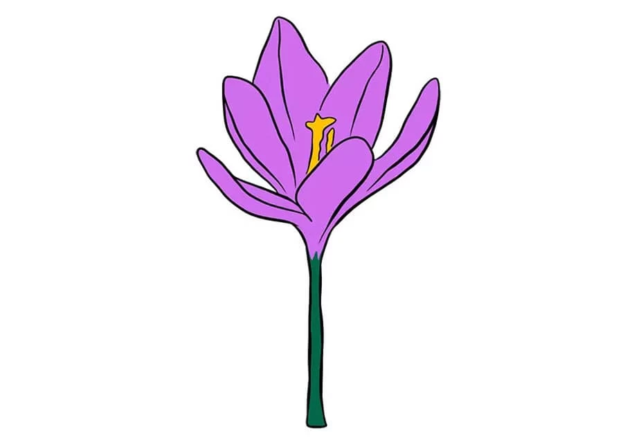 نقاشی گل نقاشی گل بنفش ساده