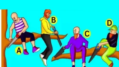 کدوم از آقایون زیادی نادانه؟