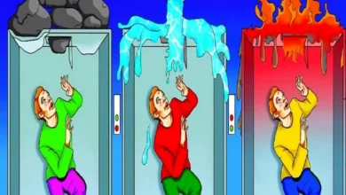 کدوم از این بخت برگشته ها زنده میمون