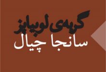 معرفی و خلاصه کتاب «گربه‌ی لوبیا پز»