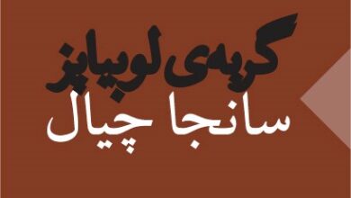 معرفی و خلاصه کتاب «گربه‌ی لوبیا پز»