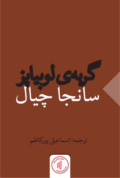 معرفی و خلاصه کتاب «گربه‌ی لوبیا پز»
