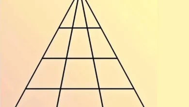 فقط باهوشترینها میتونن تعداد مثلثها رو در این تصویر پیدا کنن. خودتون رو به چالش بکشید!