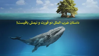 معنی و داستان ضرب المثل «دو قورت و نیمش باقی است»