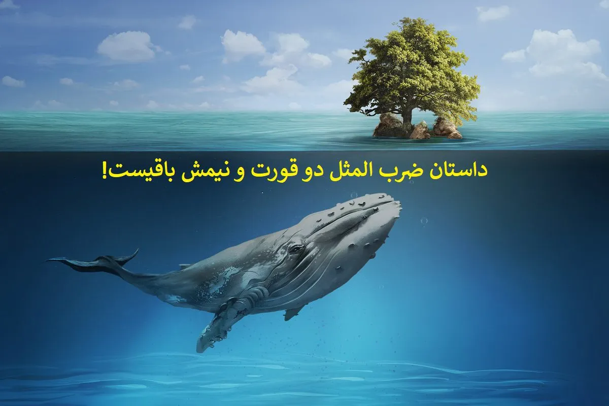 معنی و داستان ضرب المثل «دو قورت و نیمش باقی است»