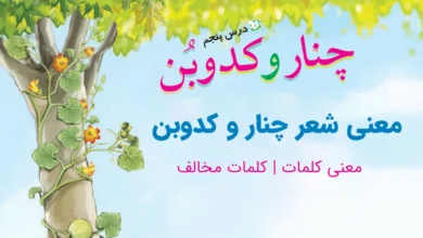 درس پنجم فارسی پنجم + معنی شعر ، کلمات ، متضاد و هم خانواده