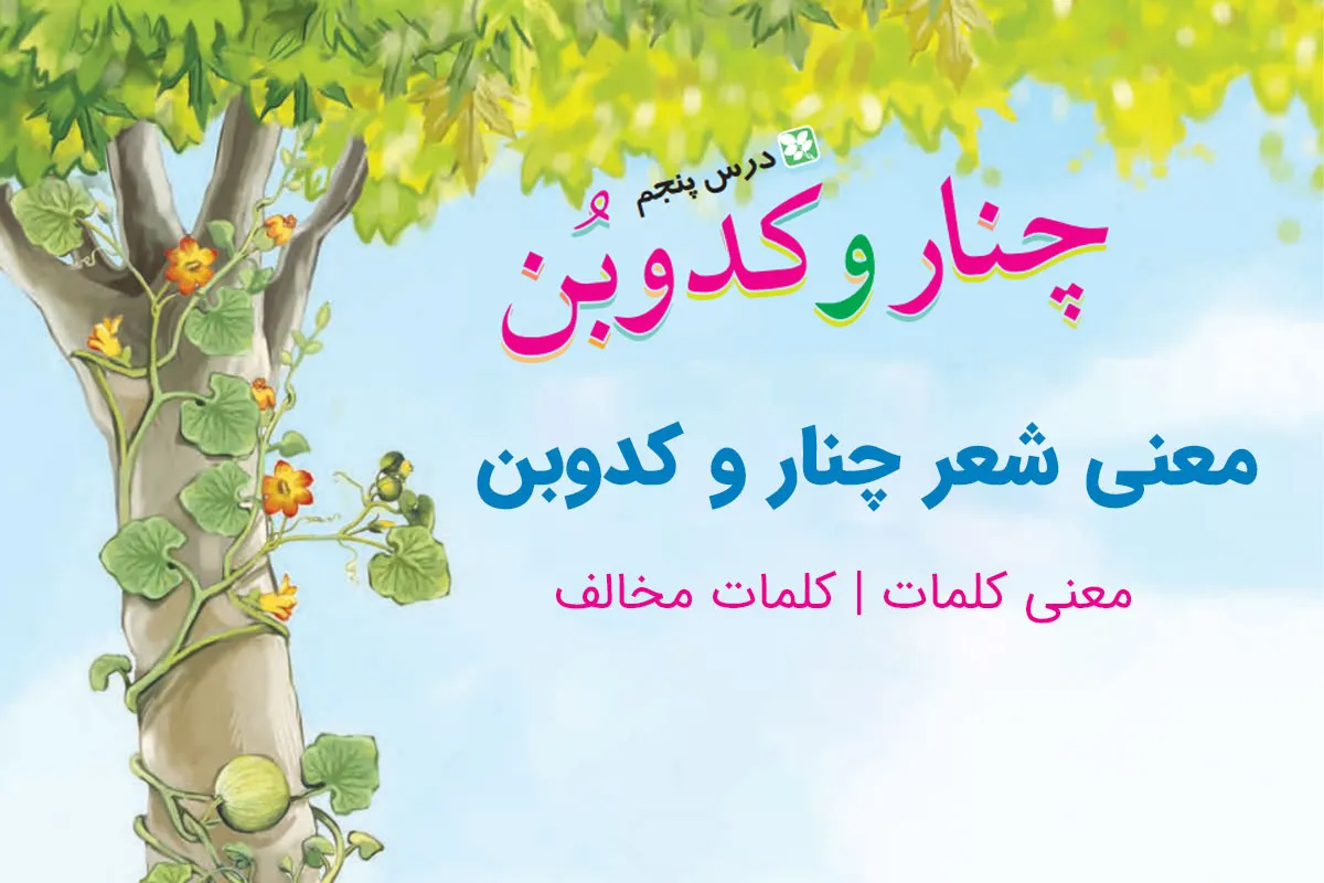 درس پنجم فارسی پنجم + معنی شعر ، کلمات ، متضاد و هم خانواده