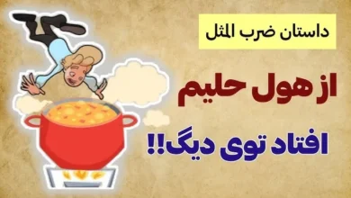 معنی و داستان ضرب المثل «از هول حلیم افتاد تو دیگ»