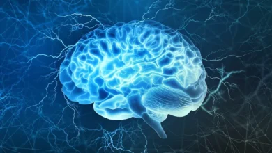 کاهش رتبه ایران در جدیدترین رتبه‌بندی IQ کشورها در سال ۲۰۲۵