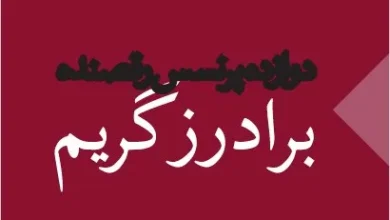 معرفی و خلاصه کتاب «دوازده پرنسس رقصنده»
