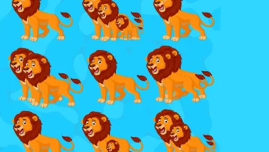 بازی فکری