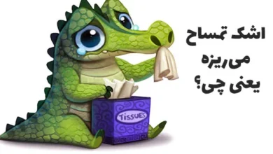 ضرب المثل