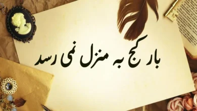 ضرب المثل