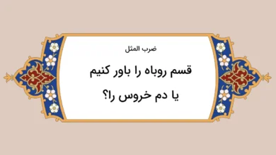 ضرب المثل