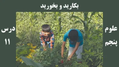 علوم پنجم