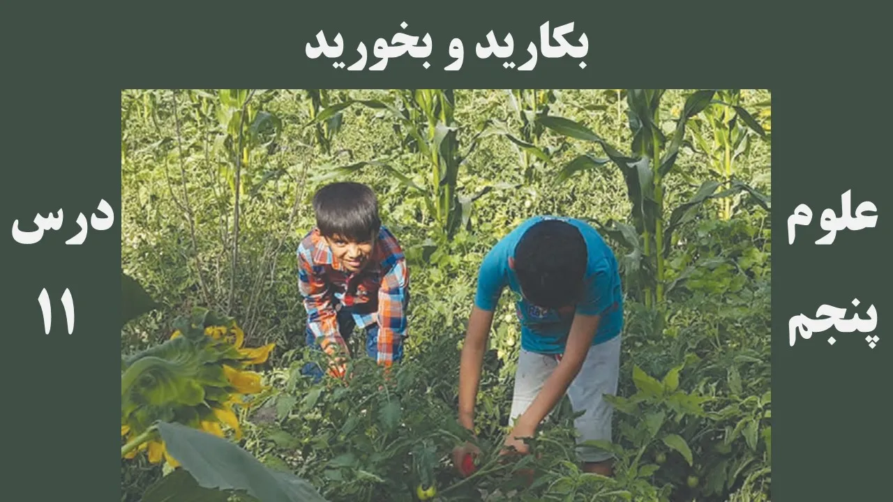 علوم پنجم