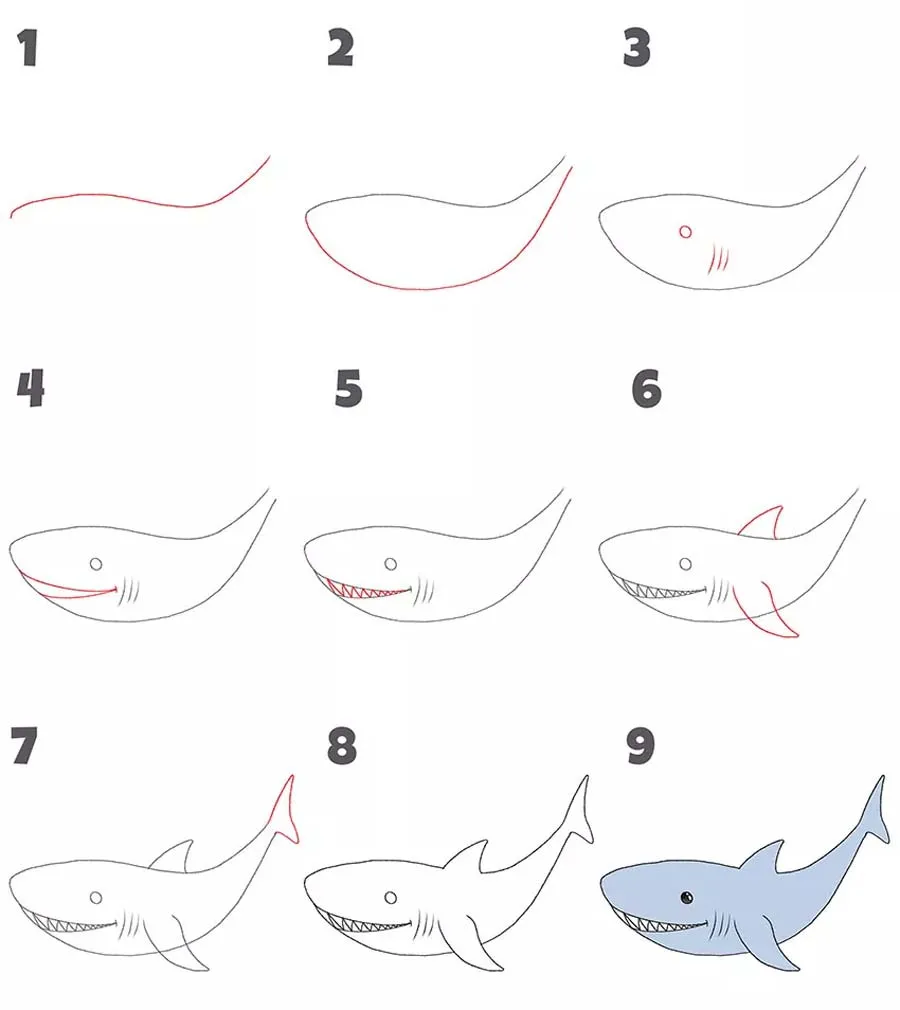 مراحل نقاشی کوسه