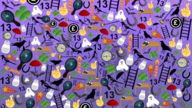 بازی فکری؛ گربه سیاهی که پنهونه رو پیدا کن