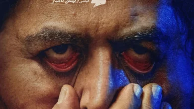 لاک پشت