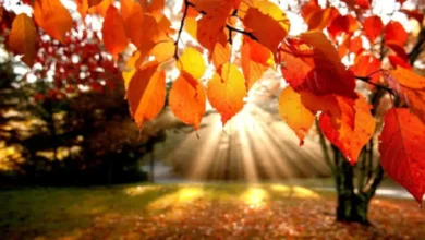 تقویم آبان ۱۴۰۴