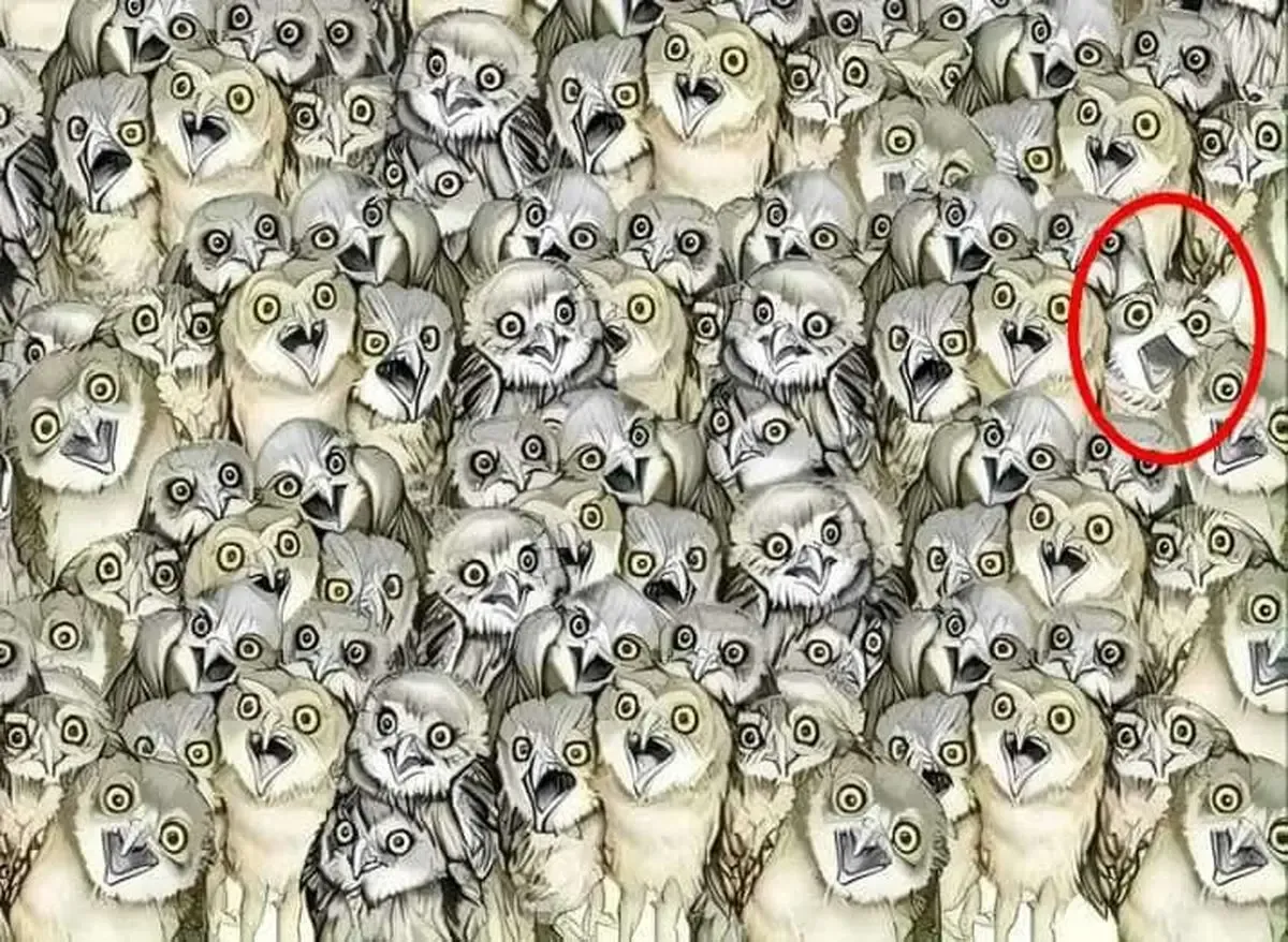 جواب بازی فکری