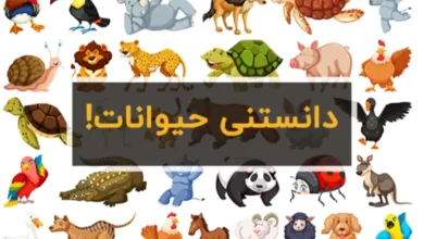 دانستنی ها