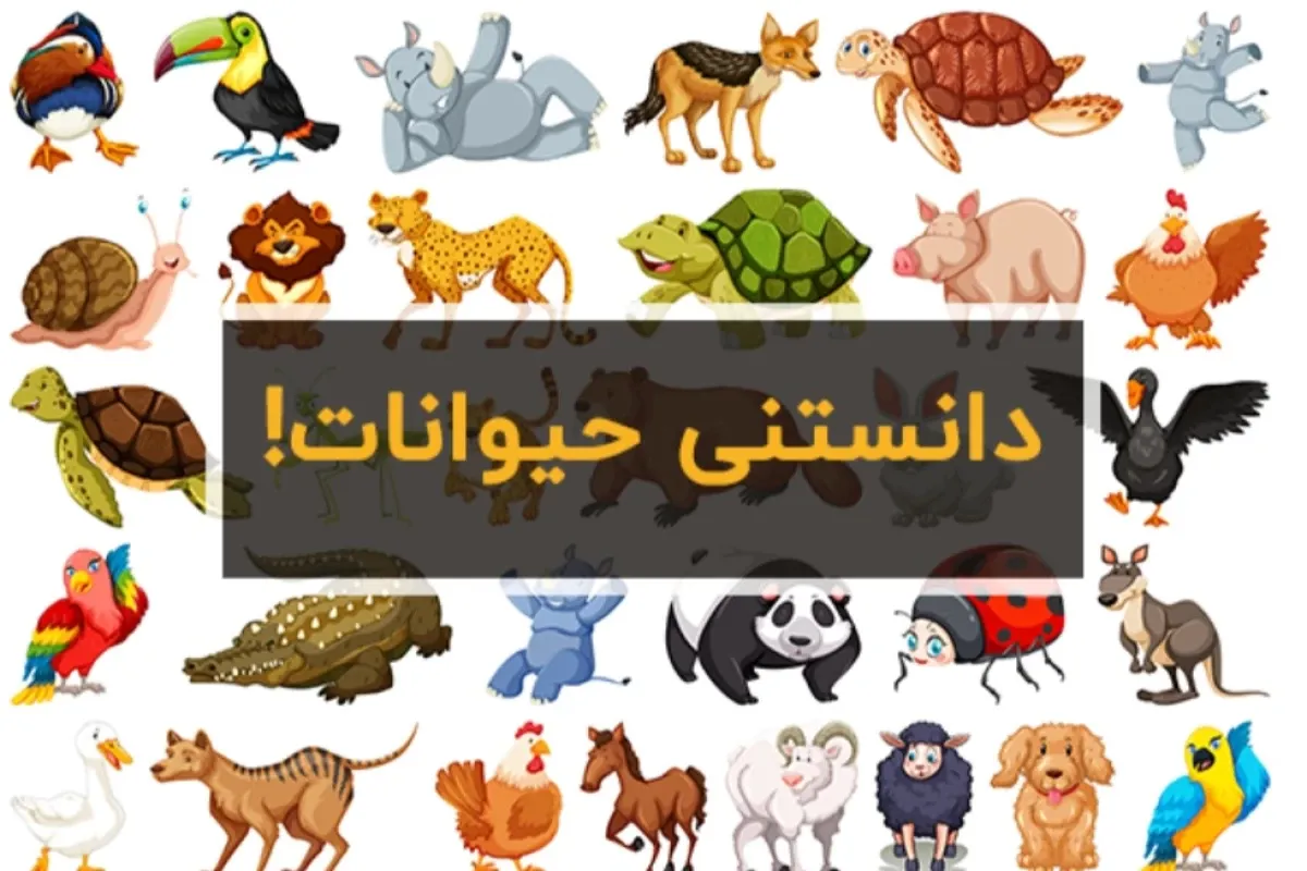 دانستنی ها