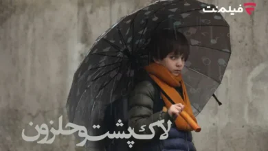 لاک پشت و حلزون