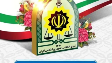 نیروی انتظامی