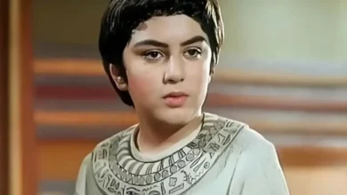 یوزارسیف