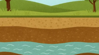 تحقیق مدرسه