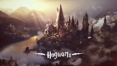 مدارس هری پاتر