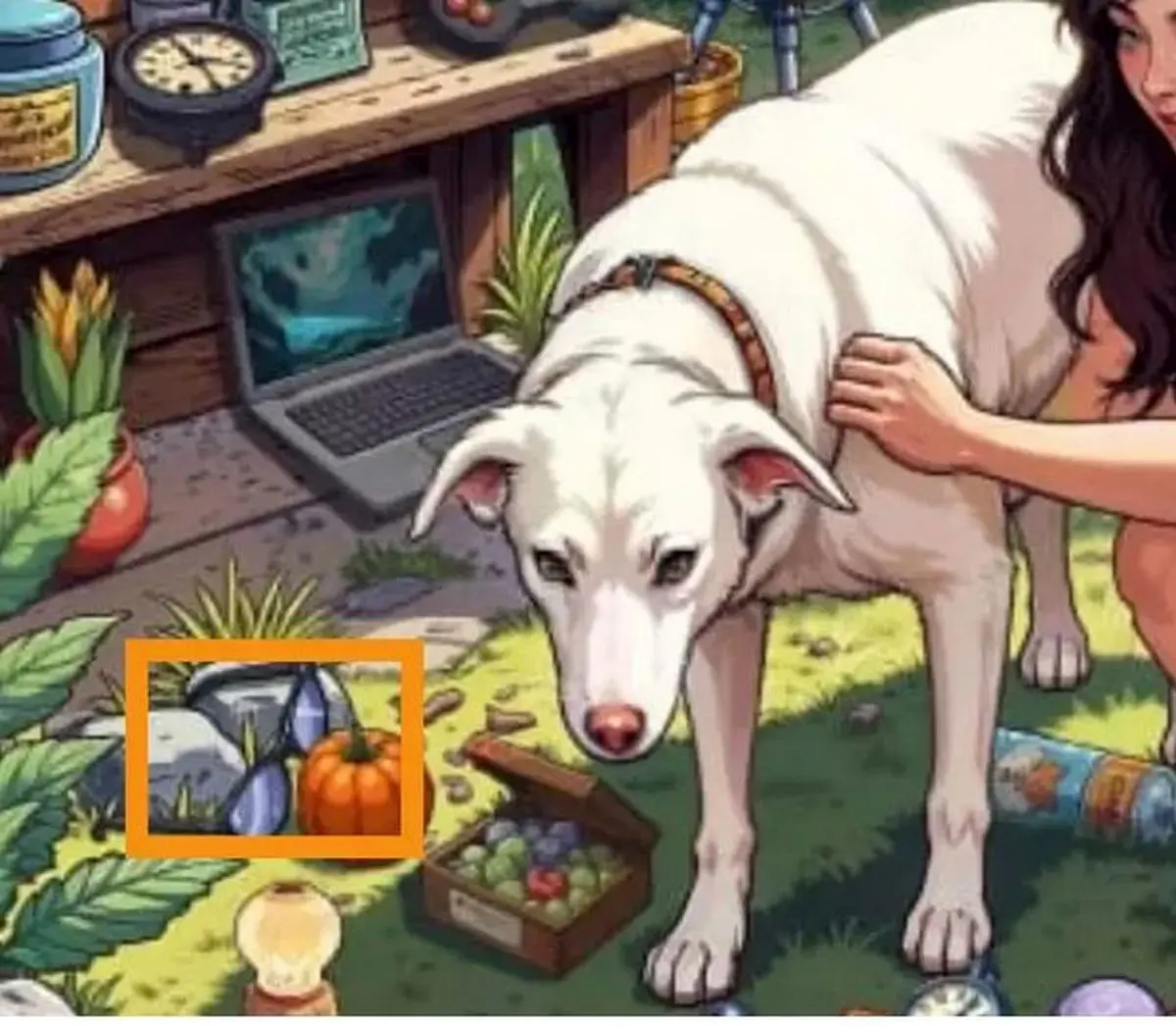 بازی فکری بازی فکری