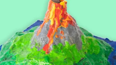 آزمایش علوم