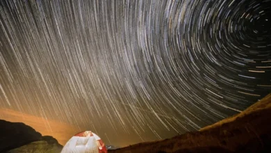 بارش شهاب جوزایی