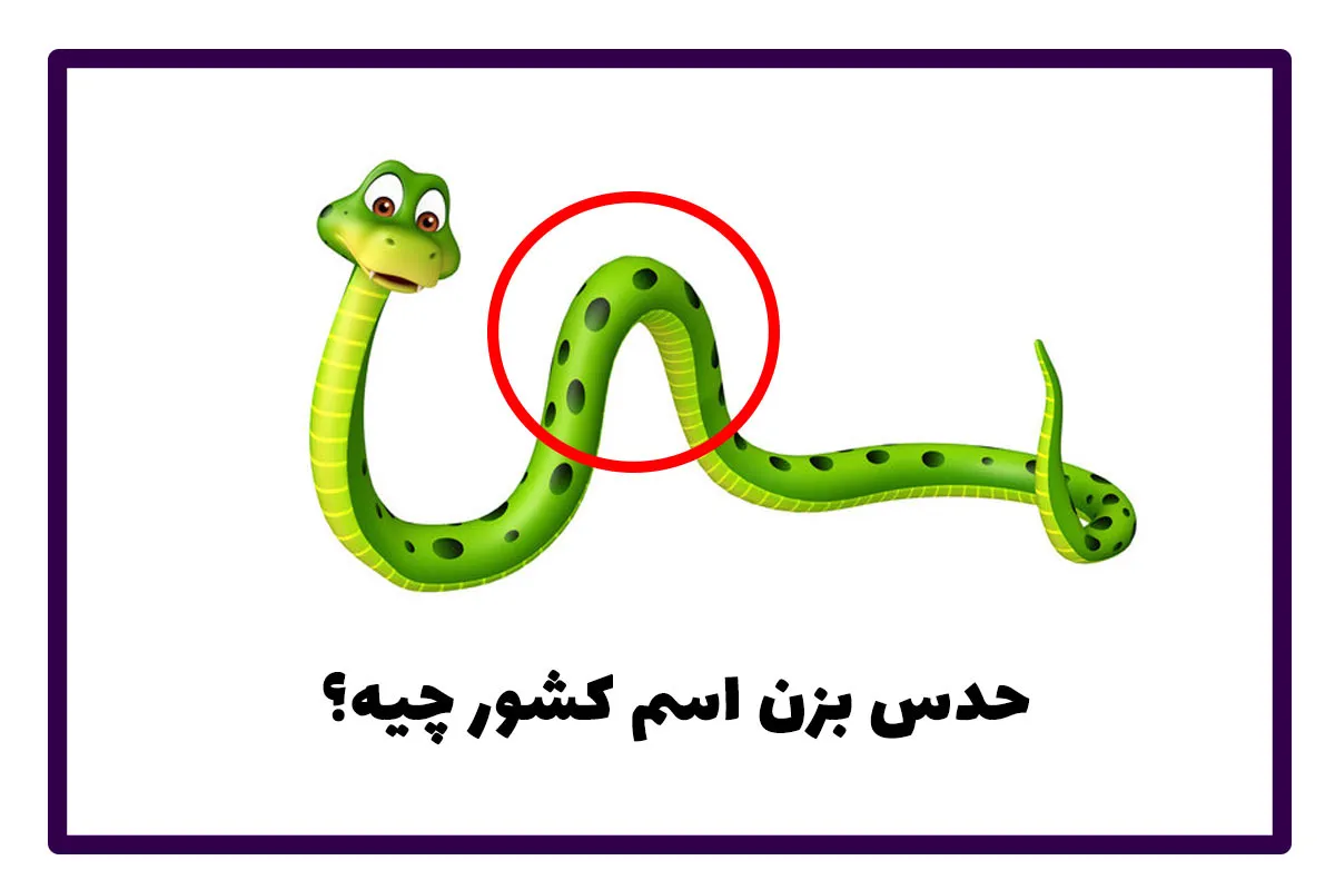 بازی فکری حدس کشور