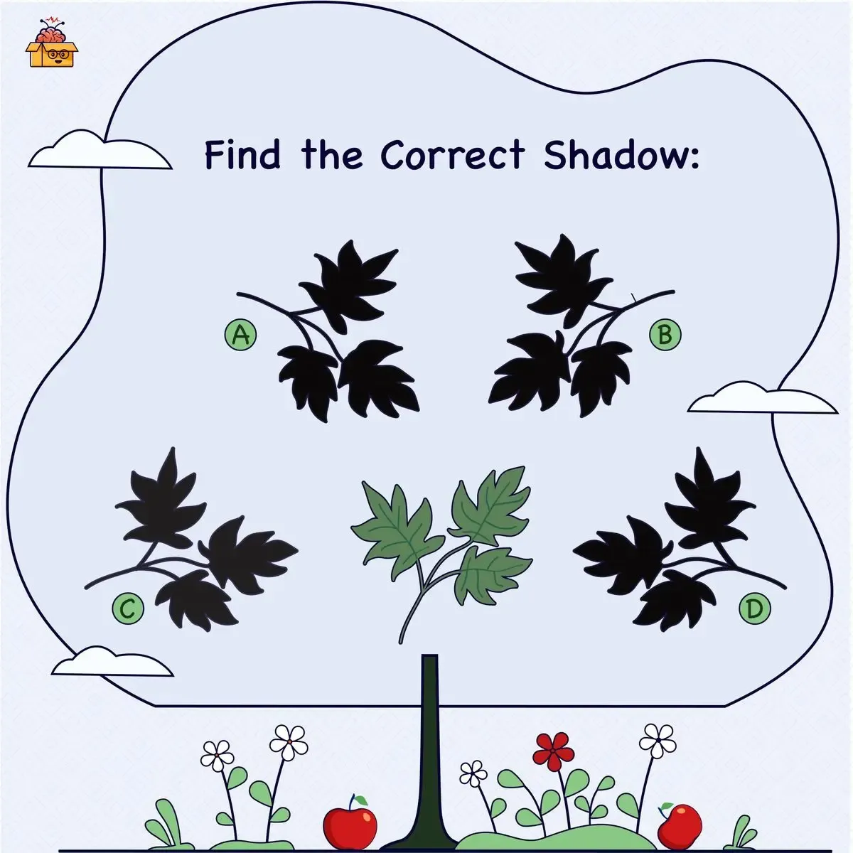 بازی فکری سایه برگ