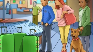 بازی فکری چمدان گمشده