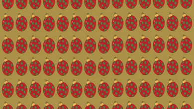 بازی فکری گوی