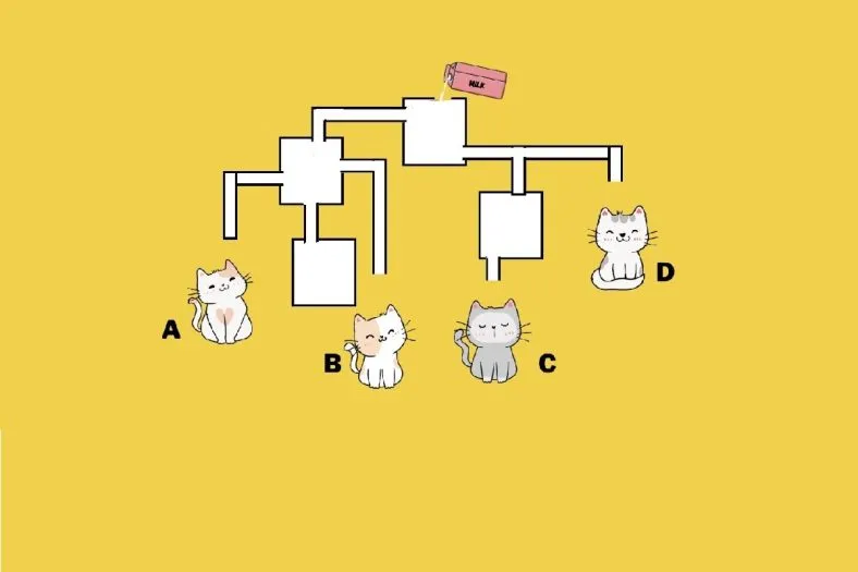 بازی فکری ۳