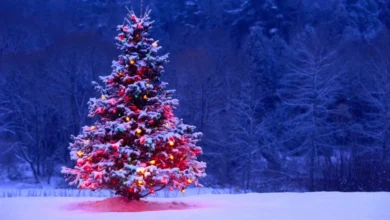 تاریخ-کریسمس-2026