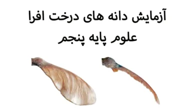 تحقیق علوم پنجم
