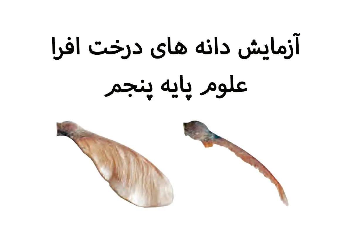 تحقیق علوم پنجم