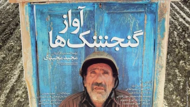 آواز گنجشک ها