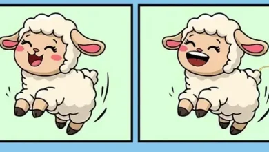 بازی فکری ۱