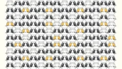 بازی فکری ۱