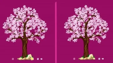 بازی فکری ۱