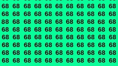 بازی فکری ۲